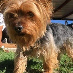 Meet your Posher, Ezgar